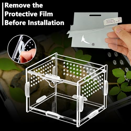 Mini Acrylic Spider Enclosure, Clear Habitat with 1mm Ventilation | Compact clear acrylic enclosure with 1 mm ventilation holes for jumping spiders and other small invertebrates. - size: Small Square Acrylic Terrarium