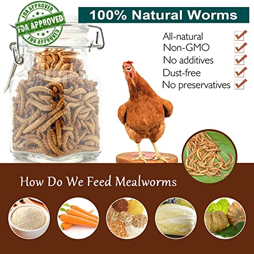 Non-GMO High-Protein Large Dried Mealworms for Chickens, Natural Grubs and Poultry Treats as Chicken Feed,Duck Food, Wild Birds Seed,Fish Food,Reptile Food,Amphibian Food(Mealworms-22LB)