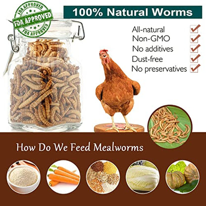Non-GMO High-Protein Large Dried Mealworms for Chickens, Natural Grubs and Poultry Treats as Chicken Feed,Duck Food, Wild Birds Seed,Fish Food,Reptile Food,Amphibian Food(Mealworms-22LB)