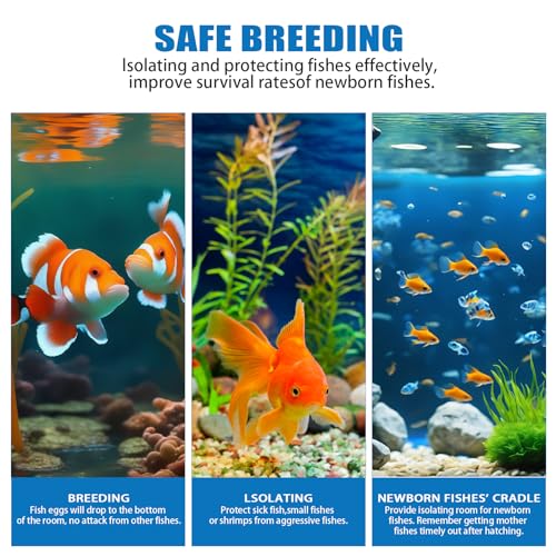 Fish Breeding Box, Acrylic Isolation Box Aquarium Hatchery Incubator with Suction Cups for Newborn Fry, Shrimp, Guppy, Clownfish, Aggressive Fish, 11.5" x 6" x 6"