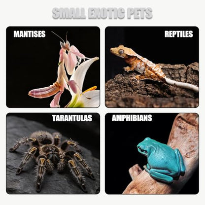 8x8x12 Acrylic Reptile Enclosure - Clear Terrarium Geckos Spiders | Metal mesh top for UVB compatibility with lightweight full-view acrylic construction - size: 8"8"12"