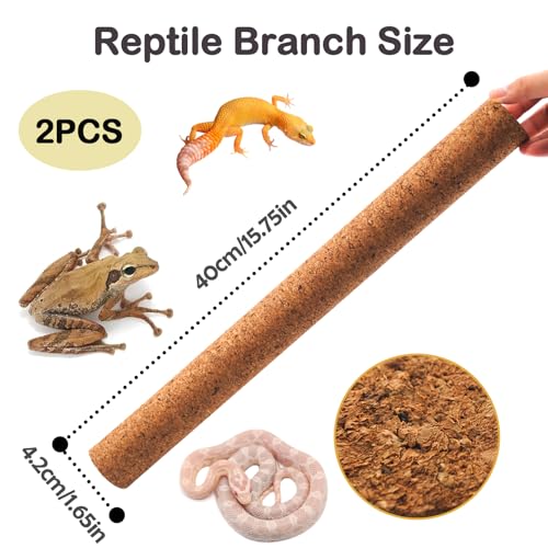 PINVNBY 2 Pcs Reptile Branches for Climbing,Natural Lizard Cork Stick Bearded Dragon Tree Branch Habitat Log Decor for Tree Frog Snake Crested Gecko Spider Chameleon - size: L:15.75”Lx1.65”Wx1.65”H