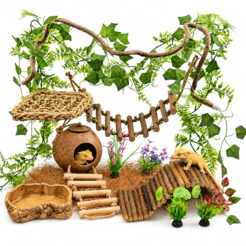 Crested Gecko Tank Accessories, Reptile Bridge and Plants with Coconut Shell Ladder Hideout, Natural Terrarium Decor for Lizard, Chameleon, Leopard Gecko, Snake, Hermit Crab and Tortoise (Group C) - color: Group C