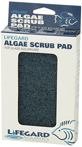 Lifegard Aquatics 4-Inch by 6-Inch Blue Algae Pad, Black, Model Number: R270912