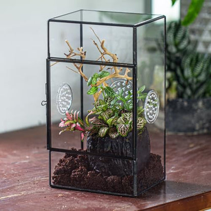 NCYP Glass Enclosure for Large Jumping Spider - 5.1" x 3.9" x 9" Front Opening Door Glass Terrarium with 3 Vent Holes, Small Snail, Insects Habitat, Black (Terrarium Only)