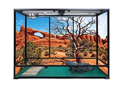 Carolina Custom Cages, 48Lx18Wx36H Extra-Tall Extra-Long Terrarium; Easy Assembly - size: 48Lx18Wx36H