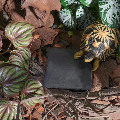 Reptile Basking Platform Rock Tortoise Habitat Accessories Slate Rocks for Reptiles Food Dish Feeding Bowl for Crested Gecko Snake Frog Lizard