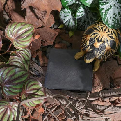 Reptile Basking Platform Rock Tortoise Habitat Accessories Slate Rocks for Reptiles Food Dish Feeding Bowl for Crested Gecko Snake Frog Lizard
