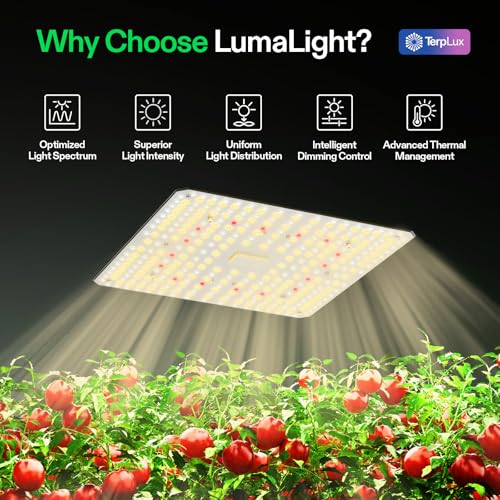 VIVOSUN LumaLight 100W LED Grow Light, Full Spectrum Plant Light, Smart Dimmable & High PPFD for Indoor Plants Seedling Vegetables Bloom, Fits 2×2/2×4 Grow Tents, 2-Pack - size: 4x2