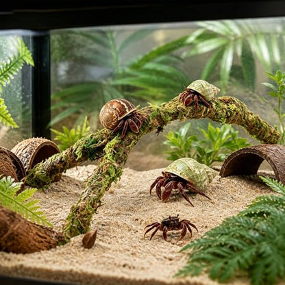 Reptile Tank Accessories and Terrarium Habitat Decor, Artificial Mossy Vines Bridge for Small Reptiles, Climbing Toys for Gecko, Lizard, Snake, Chameleon, Frog, Spider