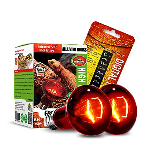 Infrared Heat Lamp Bulbs 75W 2 Pack,Red Basking Spot Light Bulb Reptile Heating lamp for Bearded Dragon,Turtle,Snake,Leopard Gecko,Chicked with Digital Temperature Thermometer - style: 75W(2 Pack)
