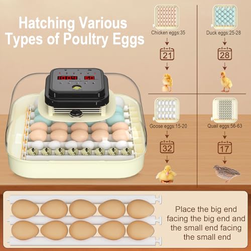 35 Chicken Egg Incubator, Quail Incubator with Humidity Control | Incubator for Hatching Eggs, Automatic Egg Turning, Egg Candler, Humidity Display, incubadora de huevos de gallina
