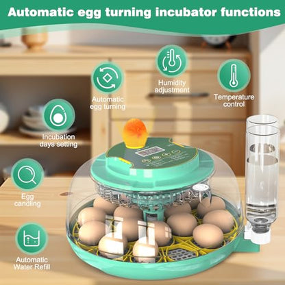 18 Egg Incubator with Automatic Egg Turning and Humidity Control,Chicken Egg Incubator, Large View Incubator for Chicken Duck Quail Eggs, External Water Refill, Egg Candler