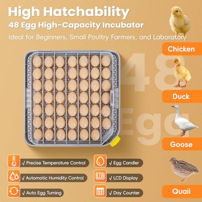 48 Incubators for Hatching Eggs, Egg Incubator with Automatic Egg Turning and Humidity Control, Temp Control, Egg Candler, Auto Water Refilling, Incubator for Chicken Eggs, Duck and Quail Eggs | Egg Candler, Egg Incubator for Chicken, Duck & Quail, Easy t