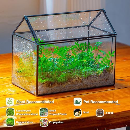 NCYP Glass Terrarium with Acrylic Lid, 10.2x5.9x8.2 Inches House Shape Glass Terrarium for Snails, Indoor Tabletop Decor, Handmade (Plants Not Included)