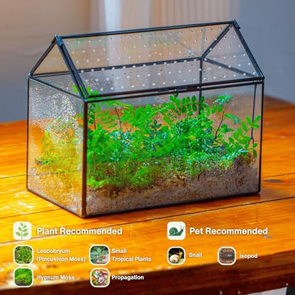 NCYP Glass Terrarium with Acrylic Lid, 10.2x5.9x8.2 Inches House Shape Glass Terrarium for Snails, Indoor Tabletop Decor, Handmade (Plants Not Included)