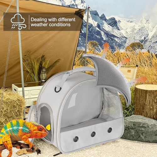 Bearded Dragon Carrier,Lizards Carrier, Small Animal Travel Carrier for Hedgehog Rat Parrot Bird Guinea Pig, Portable Guinea Pig Travel Carrier for 2(Grey) - color: Grey