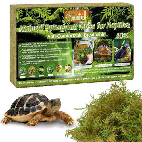 Halatool 5 OZ Sphagnum Moss for Reptiles - Green Terrarium Moss | Expands to 8 QT, Reptile Bedding for Snakes, Tortoises, Geckos, Lizards & Orchids, Humidity Retention & Temperature Buffering - size: 5OZ