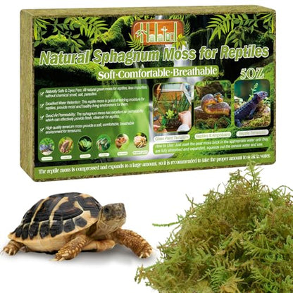 Halatool 5 OZ Sphagnum Moss for Reptiles - Green Terrarium Moss | Expands to 8 QT, Reptile Bedding for Snakes, Tortoises, Geckos, Lizards & Orchids, Humidity Retention & Temperature Buffering - size: 5OZ