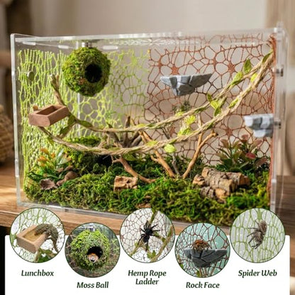 Jumping Spider Enclosure Accessories Kit - Magnetic Moss Ball Hideout, 2 Rock Ledges, Feeding Bowl, Climbing Mesh Nets & Rope Ladder - Natural Forest Habitat Decor for Regal (Moss Cave) - size: Moss Cave without Rope