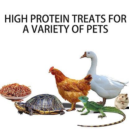 I LOVE WORMS Dried Mealworms (10lb), 100% Natural Non-GMO, High-Protein Mealworms for Chickens, Birds, Ducks, Reptile, Tortoise, Amphibian, Lizard - size: 10 Pound (Pack of 1)