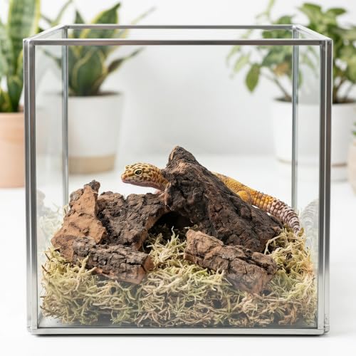 Natural Cork Bark Pieces for Reptile Enclosure, Smooth Edges Wood Substrate 8x4.5x0.4cm, Supports Humidity Gradients and Lowers Skin Abrasions, for Tortoise and Snake in Chameleon