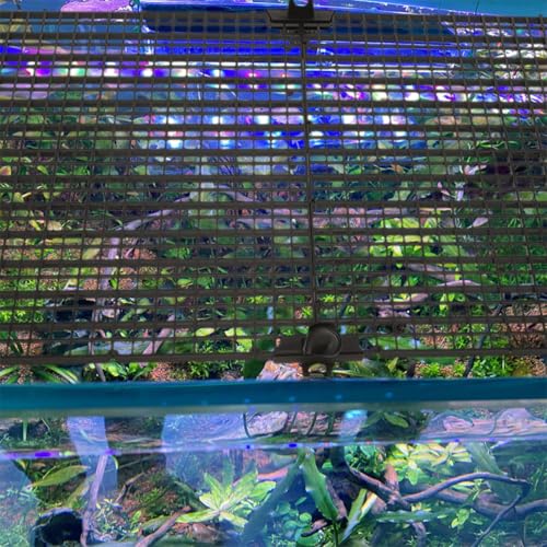Kisangel 1set Fish Tank Divider Board Cups Jump Splicing Plate for Aquarium Separation Prevents Fish from Jumping for Betta