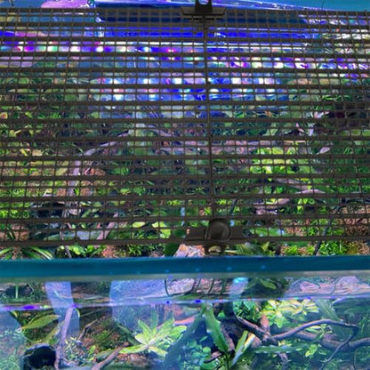 Kisangel 1set Fish Tank Divider Board Cups Jump Splicing Plate for Aquarium Separation Prevents Fish from Jumping for Betta