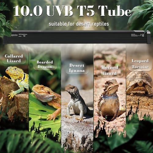 4W Reptile T5 HO UVB 6.5" 10.0 Light Fixture with Tube, Dedicated UVB Spot Hood for Terrariums, Suitable for Desert Reptiles Like Baby Bearded Dragon - color: 10.0 Desert