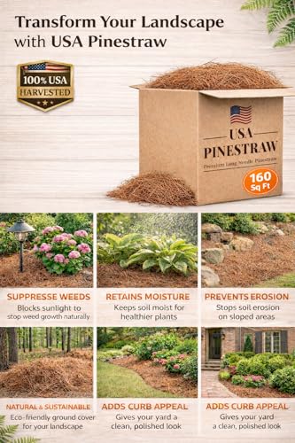 Long Needle Pine Straw Mulch - 160 Sqft Coverage 1 Set - Premium USA Harvested PineStraw for Landscaping, Weed Control, Moisture Retention & Erosion Control - USA Pinestraw - size: Pine Needle Mulch - Covers 160 Sqft 1 set