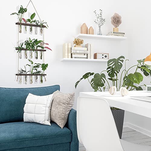 XXXFLOWER Wall Hanging Propagation Station with Wooden Stand 5 Glass Test Tubes 3 Tiered Planters Wall Terrarium for Home Office Plant Hanger Flower Vases Wall Decor Hydroponic Cuttings | 3 Tiers Plant Propagation Tubes Wall Decor Hydroponic Cuttings Plan