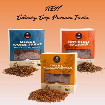 Fluker's Culinary Coop Premium Chicken Treats, High Protein Dried Mealworms, Nutritious Snacks for Chickens, Birds, and Reptiles, 5 lbs Box - size: 1 Count (Pack of 1)