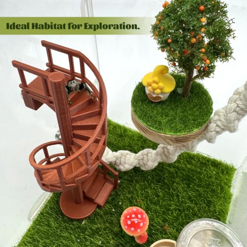 Jumping Spider Enclosure Accessories – Fun Spinning Stairs, Jumping Spider Climbing Toy with Magnetic Mount for Jumping Spider Enclosure Accessory Decoration (Brown)