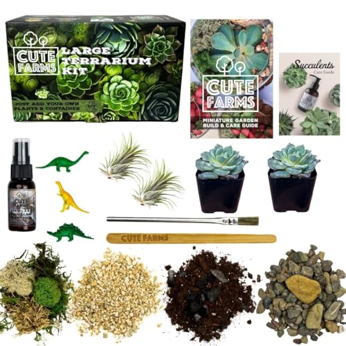 Terrarium Starter Kit | Moss, Vermiculite, Soil, Pebbles, Plant Food, Finishing Tools, Build and Care Guide | DIY Succulent Terrarium for Adults and Kids (Large + Live Plants) - size: Large Kit + Live Plants