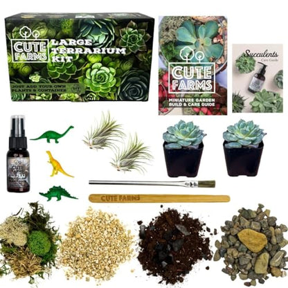 Terrarium Starter Kit | Moss, Vermiculite, Soil, Pebbles, Plant Food, Finishing Tools, Build and Care Guide | DIY Succulent Terrarium for Adults and Kids (Large + Live Plants) - size: Large Kit + Live Plants