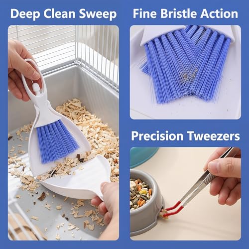Mini Dustpan and Brush Set, Reptile Scoop Feeding Tool, Stainless Steel Straight & Curved Tweezers for Small Animals – Hamsters, Hedgehogs, Rats, Guinea Pigs, Lizards, Reptiles (Black)