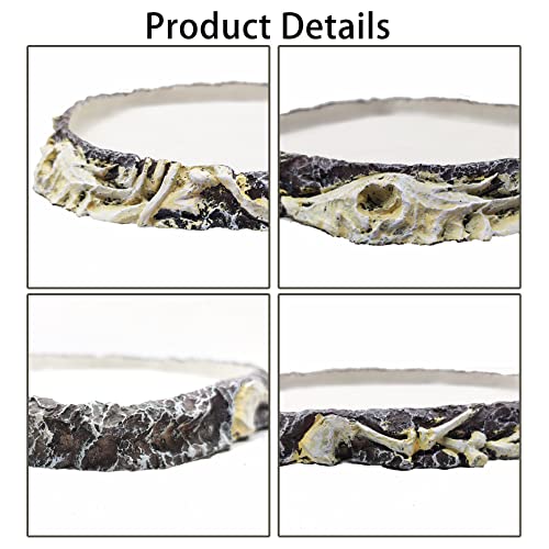 Tfwadmx 2 Pack Reptile Water Bowl, Reptile Feeding Dish, Bearded Dragon Water Dish, Turtle Feeding Bowl for Tortoises, Snakes, Lizards, Geckos, Chameleons - color: Bowl-2Pcs