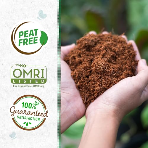 Back to The Roots Organic Seed Starting, Compressed Block expands to 12 Quarts, Made for Herbs, Veggies, Flowers - size: 12 Quart, style: Seed Starting Mix