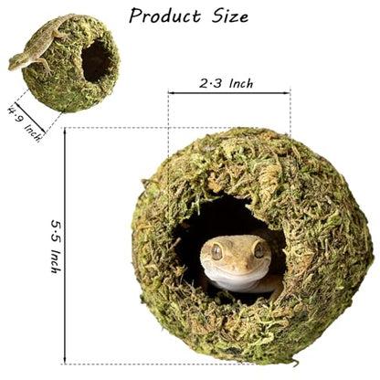 Reptile Hideout Cave - Natural Coconut Moss Terrarium Decor & Snake Hide - Leopard Gecko Hide - Reptile Tank Accessories & Habitat Hideouts for Bearded Dragon