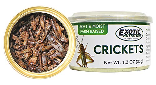 Canned Crickets (1.2 oz.) - Healthy High Protein Insect Treat - Hedgehogs, Sugar Gliders, Reptiles, Wild Birds, Chickens, Lizards, Bearded Dragons, Skunks, Opossums, Fish, Amphibians, Turtles