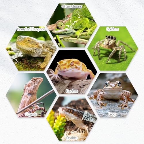 Tfwadmx 4 Pack Reptile Food Bowl, Mini Ceramic Water Feeder Bowl, Reptile Worm Feeding Dish for Lizard Turtle Bearded Dragon Anoles Crested Gecko Hermit Crab Leopard Gecko Chameleon Corn Snake - size: 4 Pcs 2.7 '' x 0.8 ''