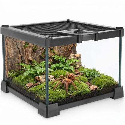 Mini Reptile Glass Terrarium Vivarium 8'' x 8'' x 6'', Full View Tank for Small Arthropod Pets Such as Pumpkin Patch Tarantulas, with Feeding Slot & Box Lock Buckle - size: 8"D X 8"W X 6"H