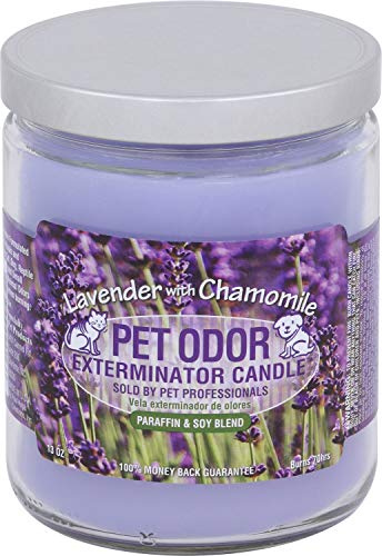 Pet Odor Exterminator Candle, Lavender with Chamomile,13 oz - color: lavender