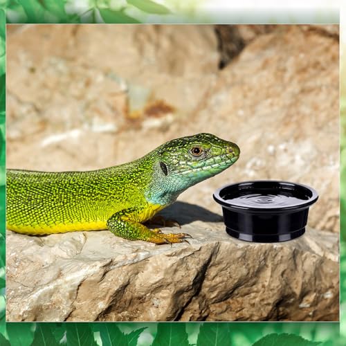 500 Pcs 0.5 oz Gecko Feeding Cups Small Gecko Food and Water Cups Reptile Feeding Bowls Plastic Bearded Dragon Food Bowl for Lizard Small Pet Ledge Accessories (Black) - color: Black