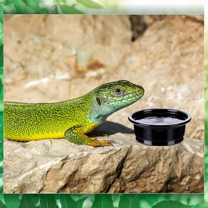 500 Pcs 0.5 oz Gecko Feeding Cups Small Gecko Food and Water Cups Reptile Feeding Bowls Plastic Bearded Dragon Food Bowl for Lizard Small Pet Ledge Accessories (Black) - color: Black