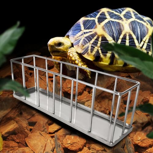 Beaupretty Stainless Steel Reptile Feeder Dish for Tortoise Lizard Small Escape-Proof Pet Food Container Terrarium Bowl Suitable for Bearded Dragon and Gecko Feeding