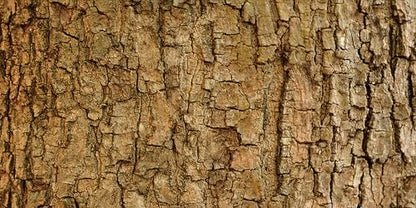 36x18 inches Aquarium Fabric Background Natural Tree Bark Aquarium Backdrop Wood Grain Fish Tank Aquatic Plants Background - size: 36X18inch
