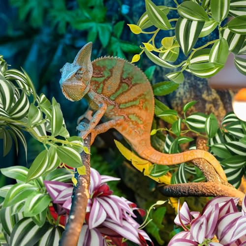 QUOZUO 2 Pack Reptile Plants, Artificial Hanging Plants with Suction Cups, Habitat Decor Plastic Vines Decorations for Bearded Dragons Lizards Snake Geckos Frogs -Purple and Green