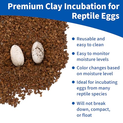 Pangea Hatch Premium Reptile Egg Incubation Substrate, 1 lb | Reptile Incubator, egg hatching substrate, vermiculite for reptiles substitute with visual moisture level color, reusable - size: 1 lb