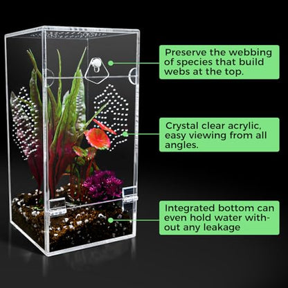 Acrylic Jumping Spider Enclosure, Secure Front Opening Door, 4x4x8 inch, Ventilated Habitat for Tarantulas, Mantis, Hermit Crabs & Small Pets